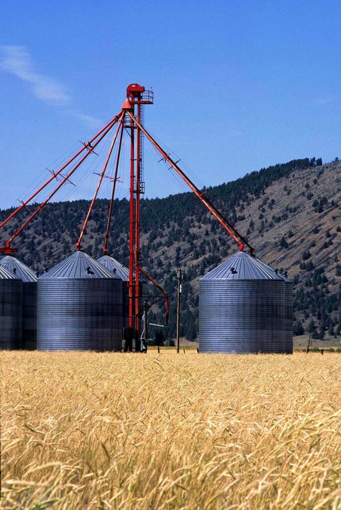Grain silos in a wheat field - DORIS, CALIFORNIA  - photography by Craig Lovell