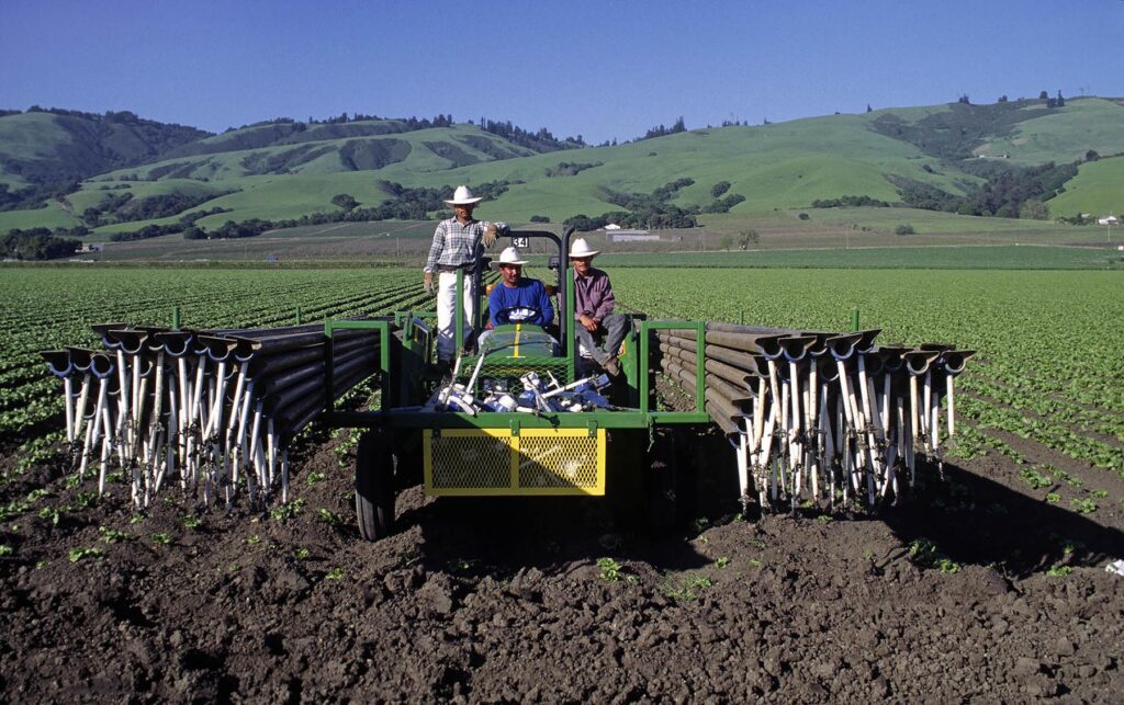 Farm workers move irrigation pipe in a lettuce field in Watsonville California - Agriculture photography by Craig Lovell