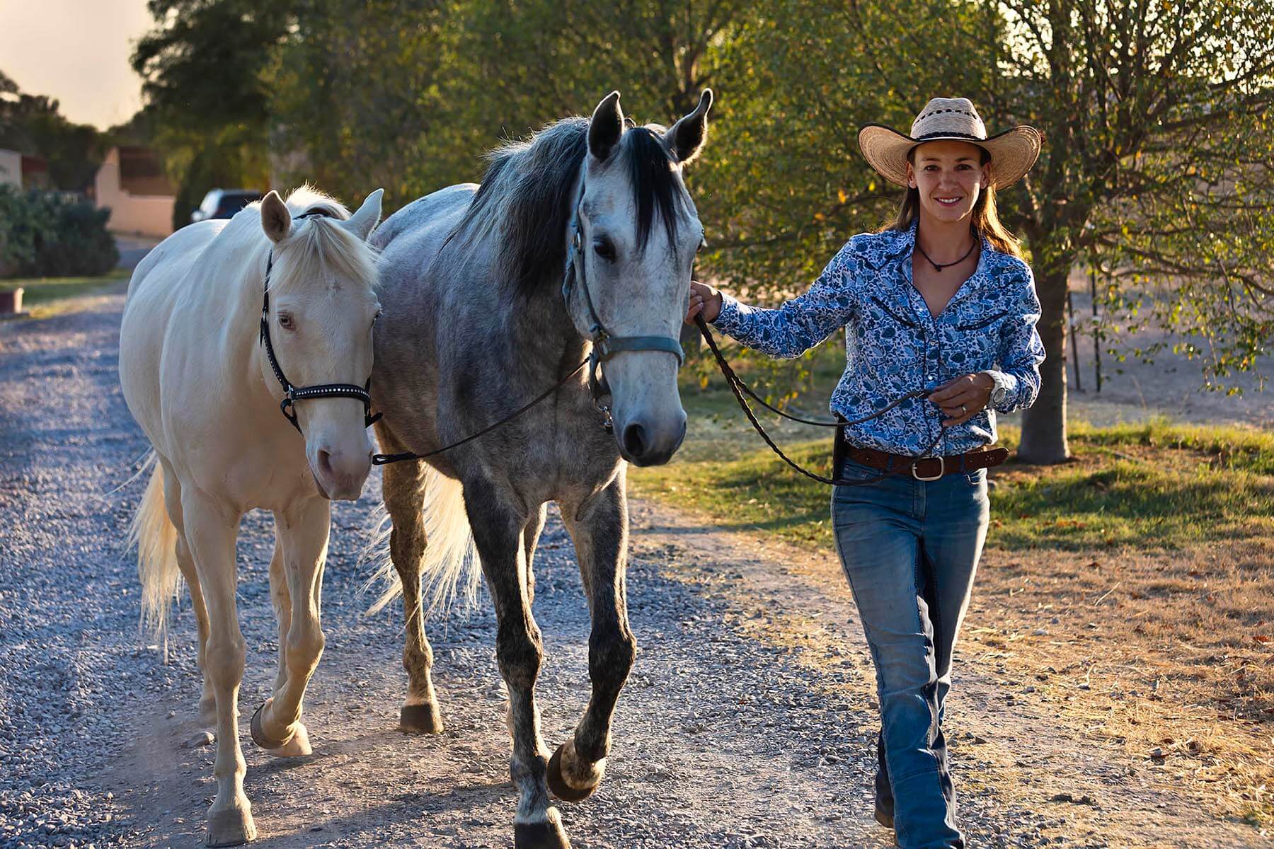Katja Smith walks a white horse and Lucitano at Granitas de Animas Ranch in SAN MIGUEL DE ALLENDE MEXICO. - Livestock photography by Craig Lovell