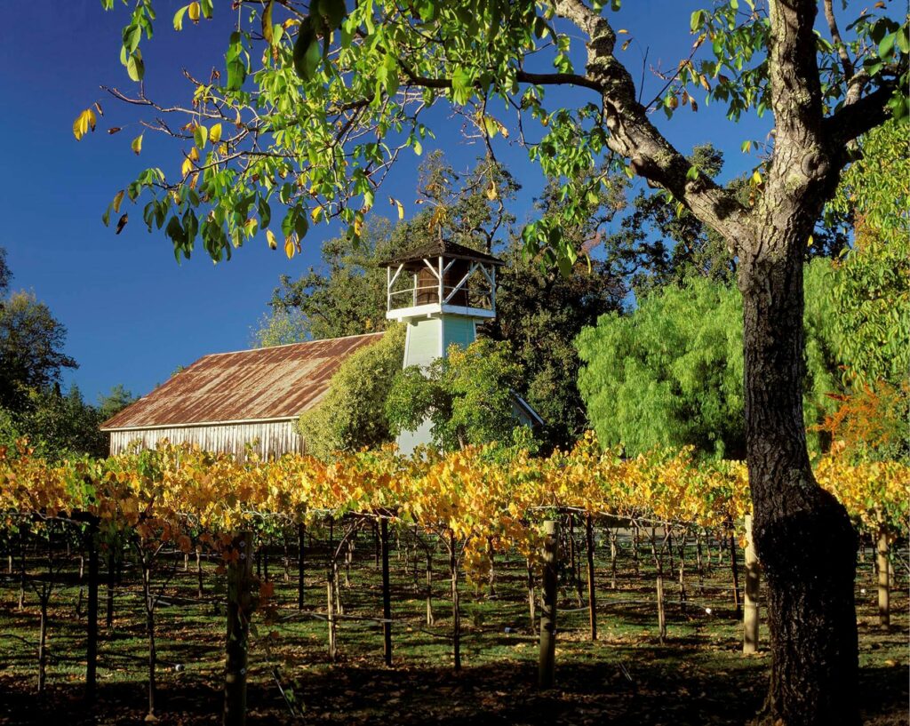 NAPA VALLEY VINEYARD with barn - ST. HELENA, CALIFORNIA - Wine Industry photography by Craig Lovell