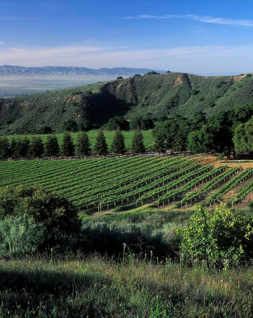 SMITH & HOOK/HAHN ESTATES Vineyard has a spectacular view across the SALINAS VALLEY to the GABILAN MOUNTAINS in central CALIFORINA. - Wine Industry photography by Craig Lovell
