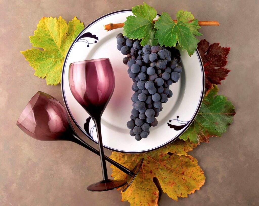 Product photography by Craig LovellZINFANDEL WINE GRAPES, LEAVES, and BURGUNDY WINE GLASSES on WHITE PLATE - WINE INDUSTRY