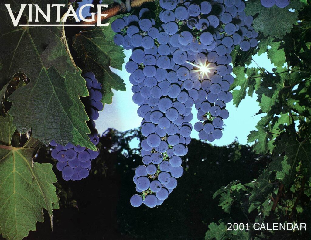 A cluster of Cabernet Sauvignon grapes with the sub bursting through used as a calendar cover.  - Wine Industry photography by Craig Lovell