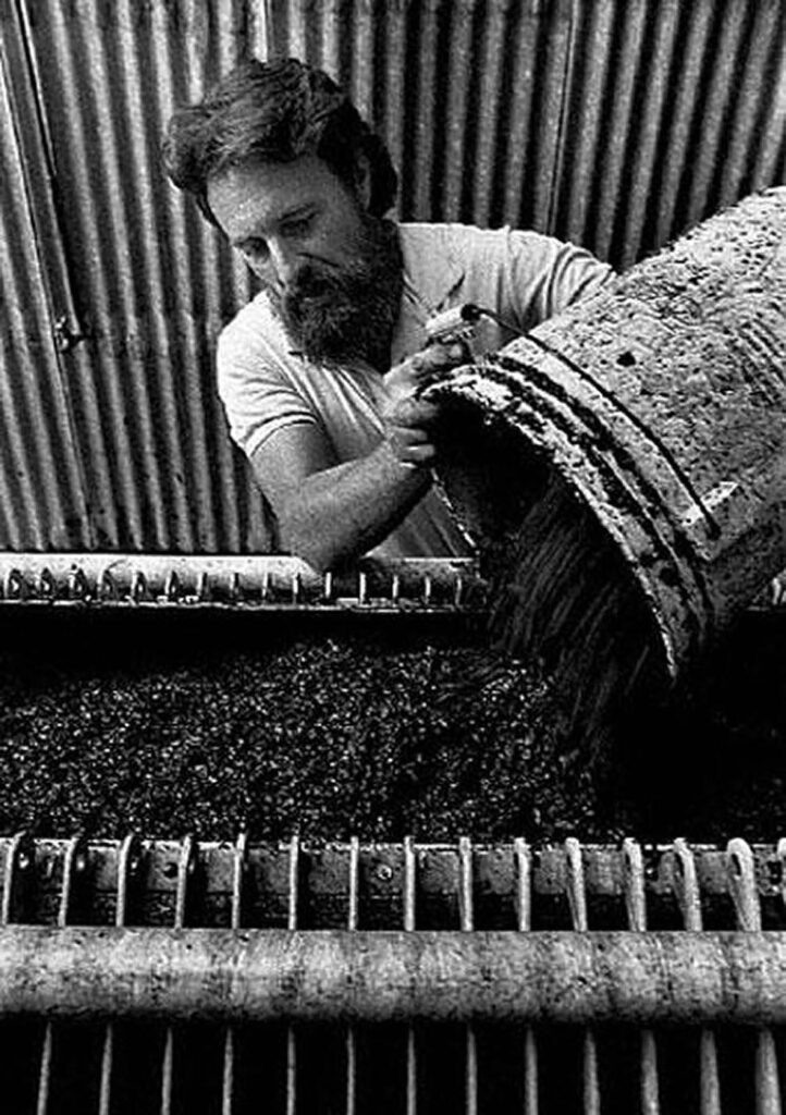 A wine maker at Nevada City Winery pours grapes into the crusher. - Wine Industry photography by Craig Lovell