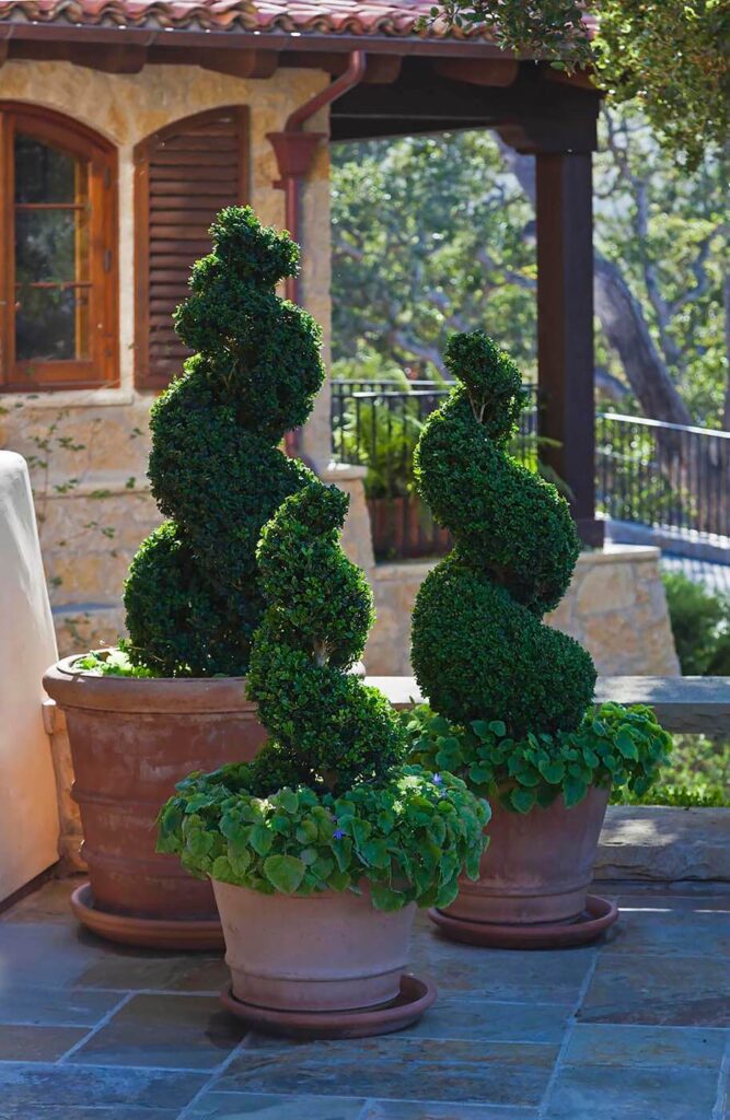 Sculptured bushes decorate a Spanish style home in Carmel California. - Architecture photography by Eagle Visions Photography
