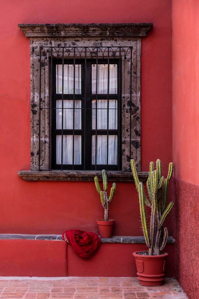 Cactus, red wall and window - SAN MIGUEL DE ALLENDE, MEXICO  - Architecture photography by Eagle Visions Photography