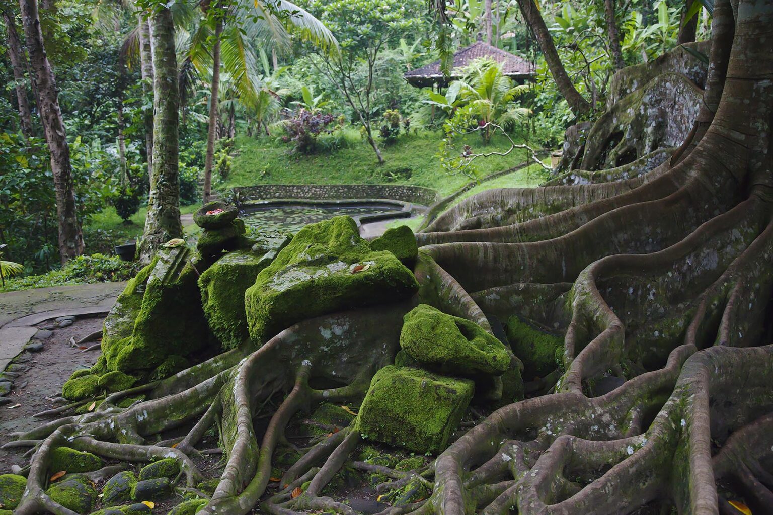 The grounds of the Hindu shrine GOA GAJAH also known as the ELEPHANT CAVE, 9th CenTury - UBUD, BALI, INDONESIA