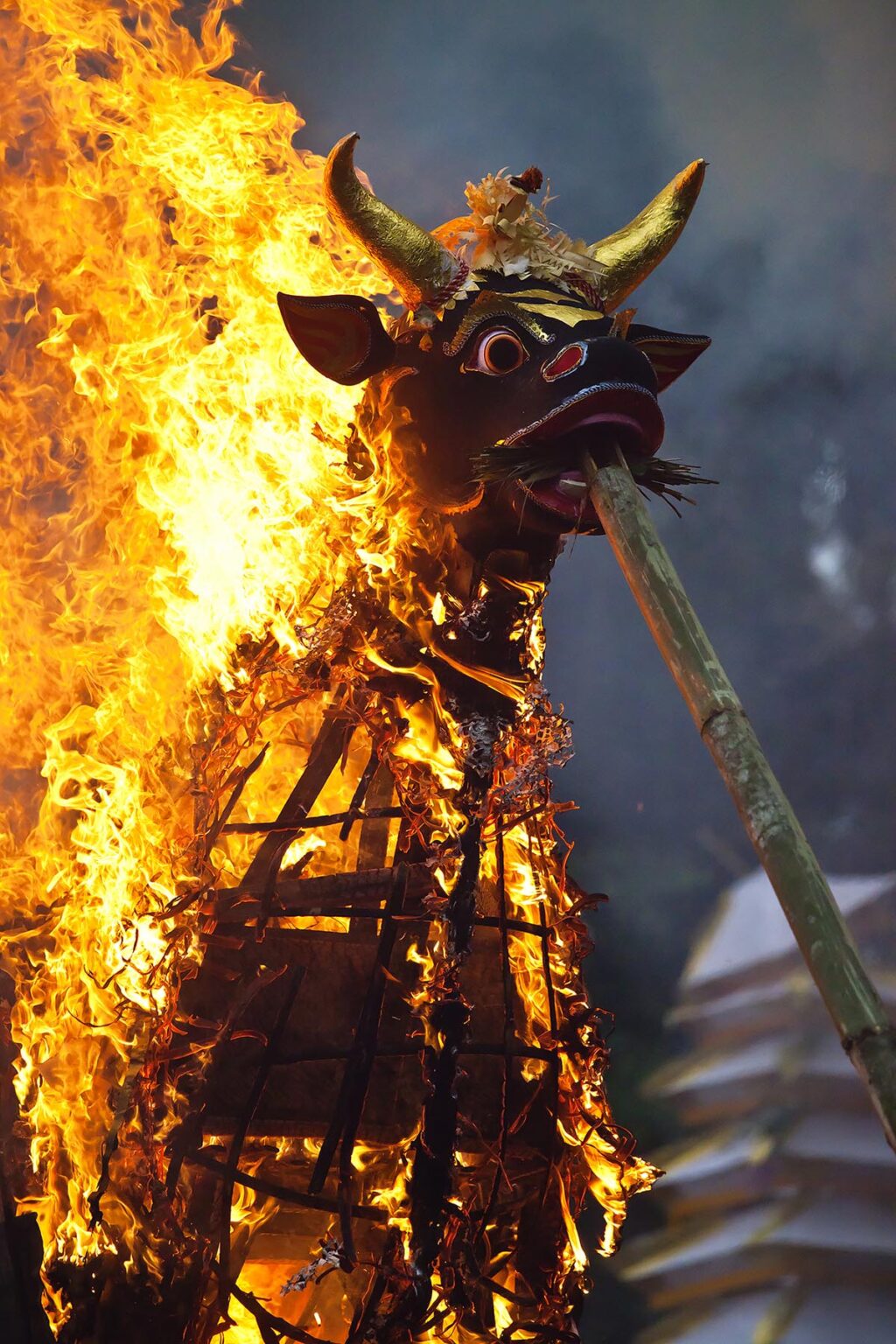 A Hindu style CREMATION where the dead body is burned inside a wooden bull - UBUD, BALI, INDONESIA