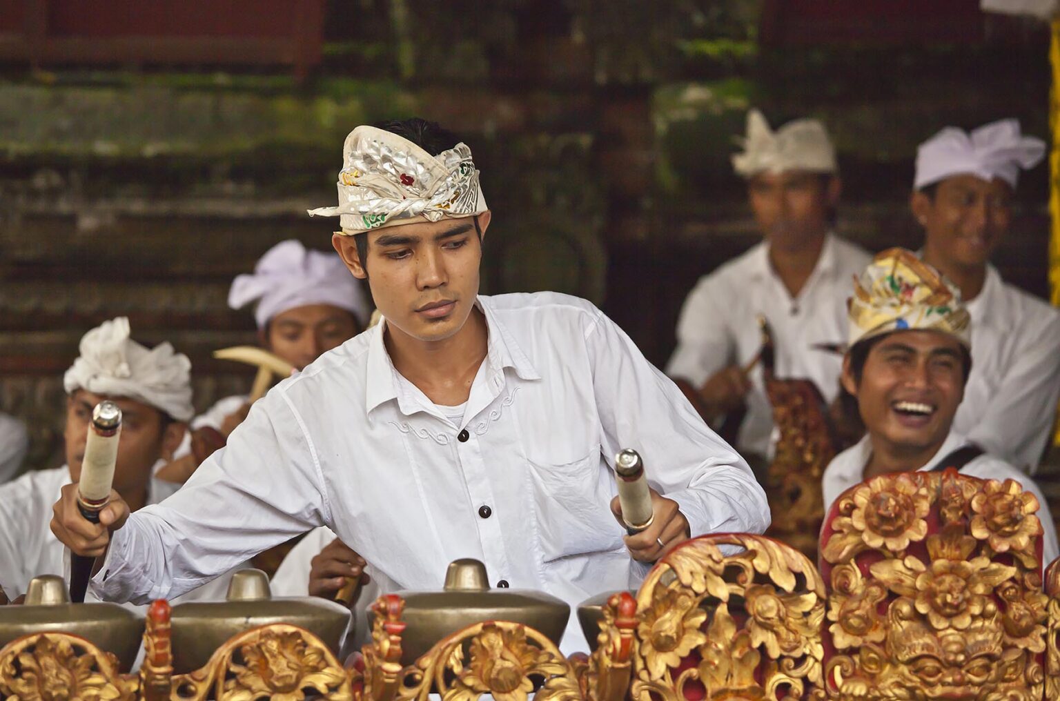 A BALINESE musician plays a GAMELAN at the temple of PURA BEJI in the village of Mas during the GALUNGAN FESTIVAL - UBUD, BALI, INDONESIA