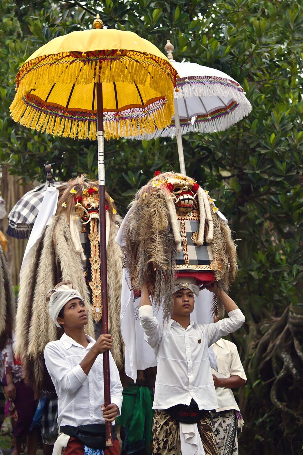 LION MASKS used in traditional LEGONG dancing are carried during a HINDU PROCESSION for a temple anniversary - UBUD, BALI