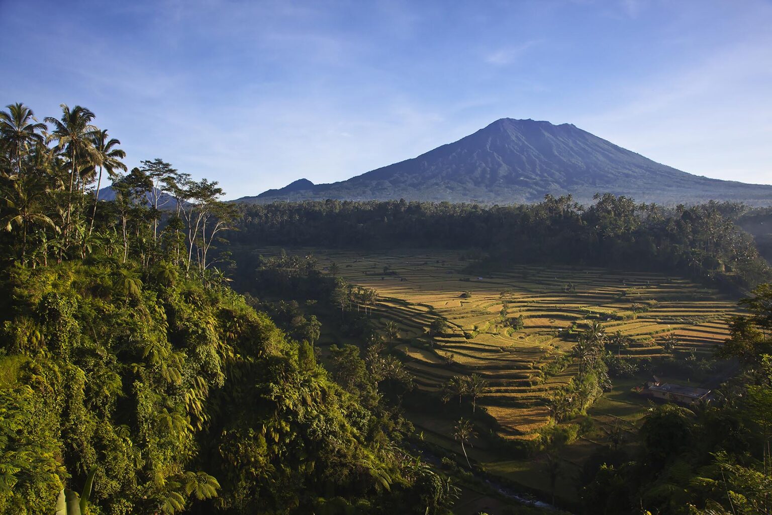 The MAHAGIRI RICE FIELDS grace the slopes of sacred GUNUNG AGUNG the islands highest volcanic peak - BAlI, INDONESIA