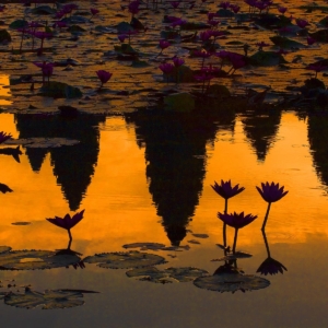 Stone temples representing the five peaks of Mount Meru reflected in a lotus pond at an Angkor Wat sunrise, built in the 11th century by Suryavarman II - Siem Reap, Cambodia