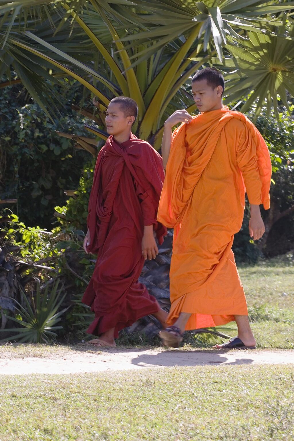 Cambodian Buddhist monks in orange robes at Angkor Wat - Cambodia