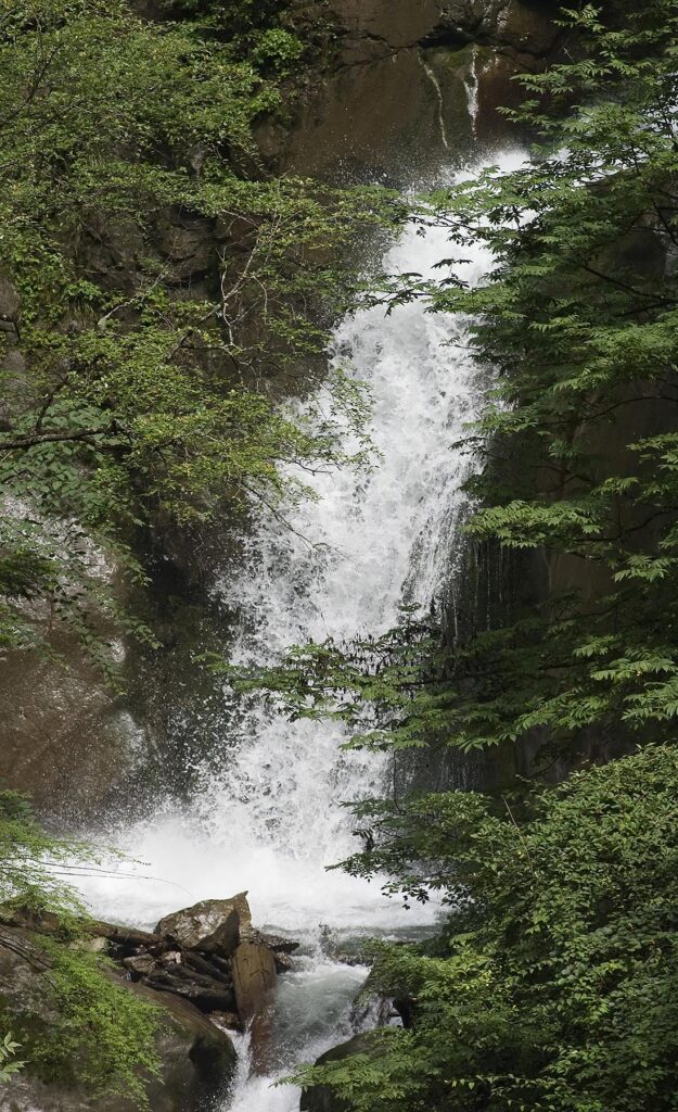 A waterfall in the Wolong Panda Reserve one of the few places these animals still survive in the wild - Sichuan Province, China