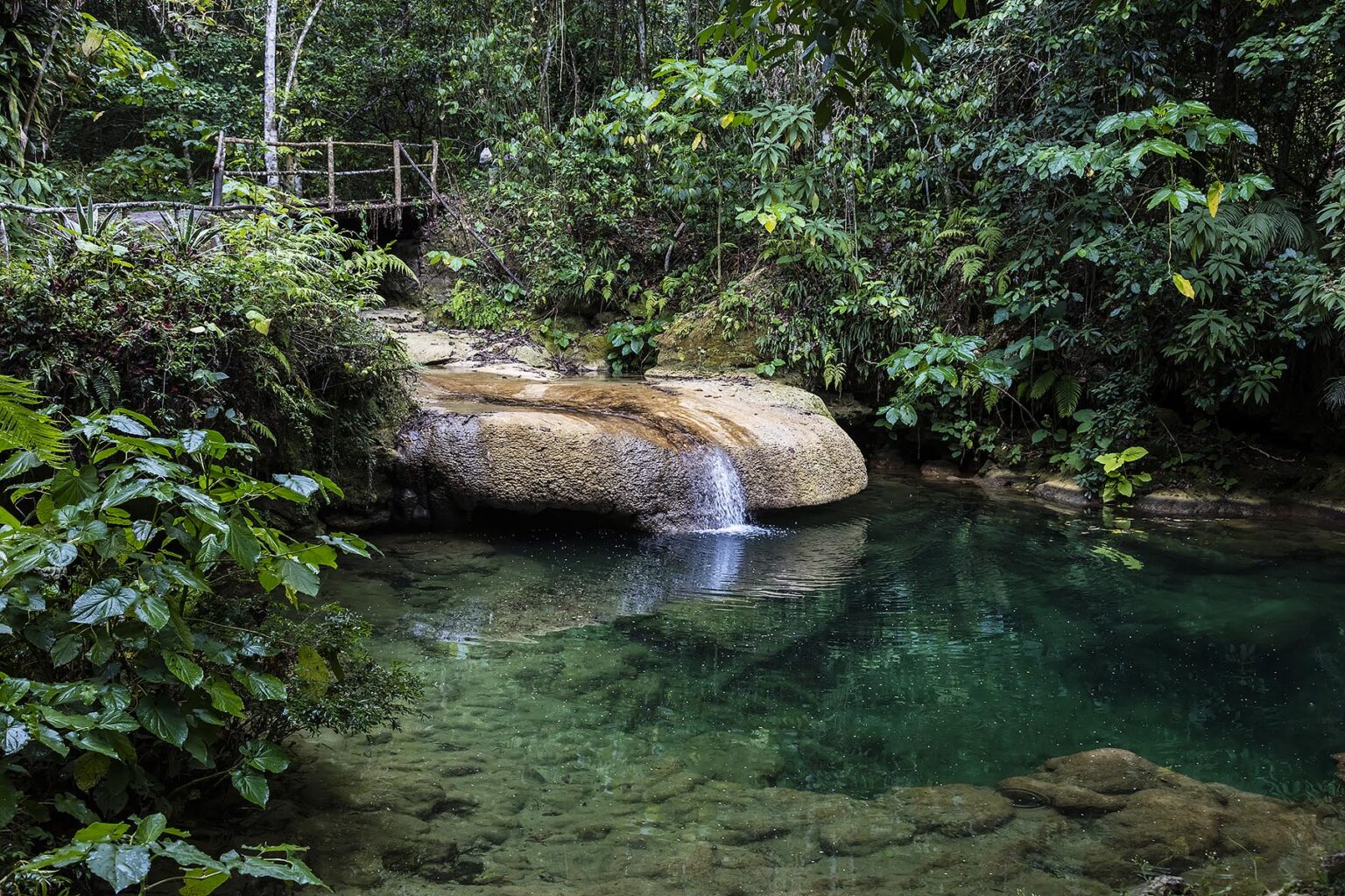 A creek in the tropical forest on the hike to EL NICHO WATERFALL in the SIERRA DEL ESCAMBRAY mountains - CIENFUEGOS, CUBA