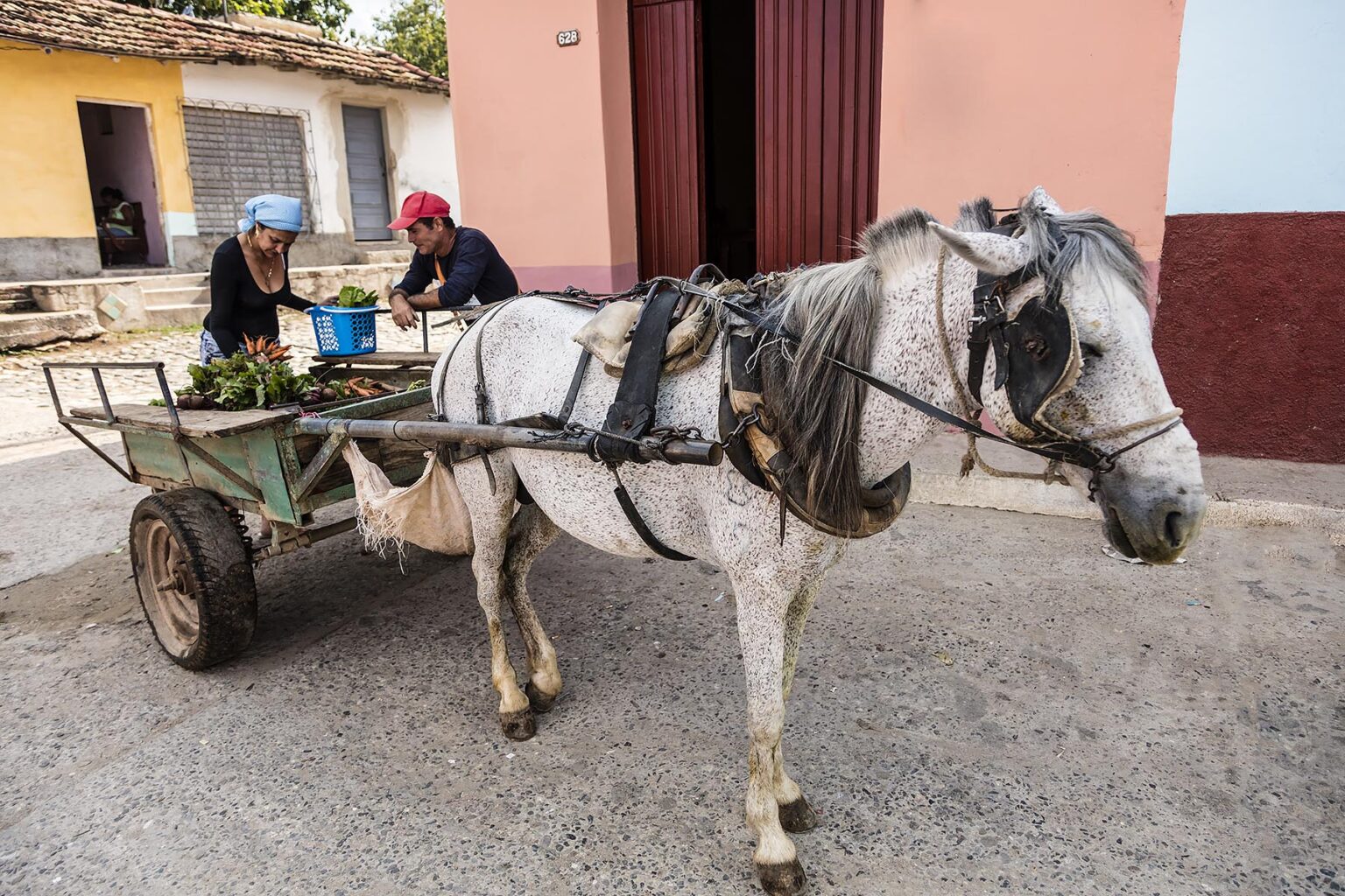 A horse cart is used to sell vegetables - TRINIDAD, CUBA