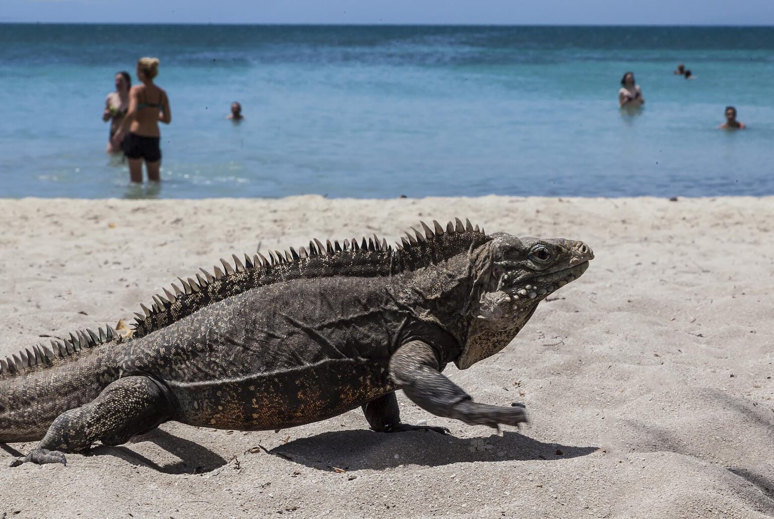 The tropical island of CAYO IGUANA reached by boat from PLAYA ANCON is a tourist destination - TRINIDAD, CUBA