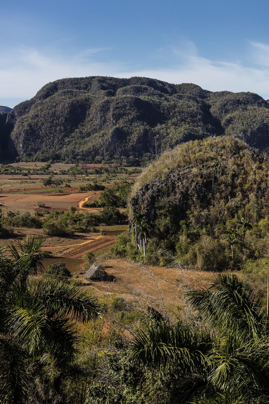 The karst formation of Vinales National Park with agricultural valley in the foreground - VINALES, CUBA