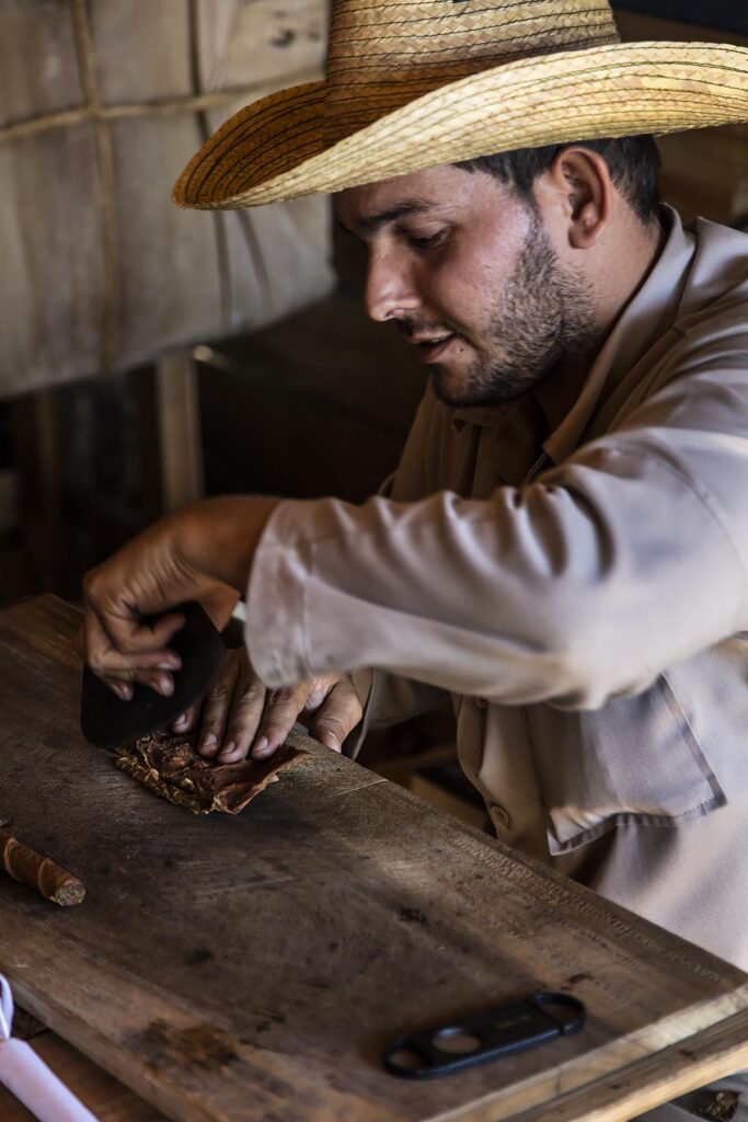 A cigar rolling demonstration at CASA MANOLO, famous for its organic cigars - VINALES, CUBA