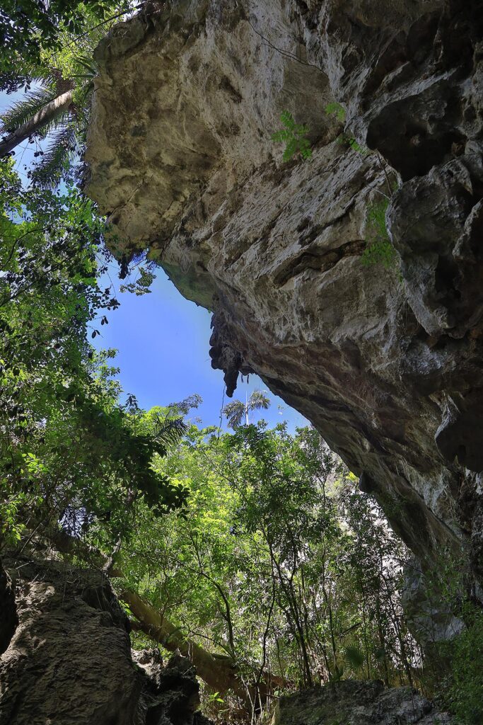 LIMESTONE CAVES are one of the tourist attractions of the Vale de Selencio - VINALES, CUBA