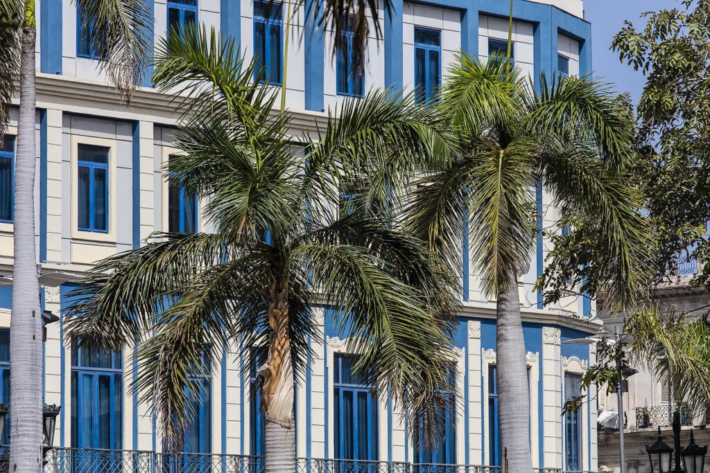 Palm trees and classic architecture - HAVANA, CUBA