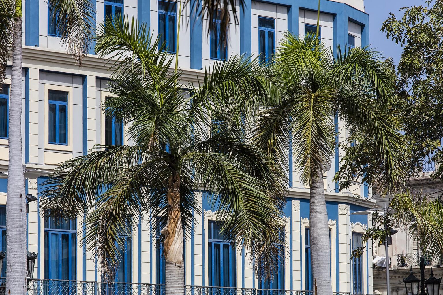 Palm trees and classic architecture - HAVANA, CUBA