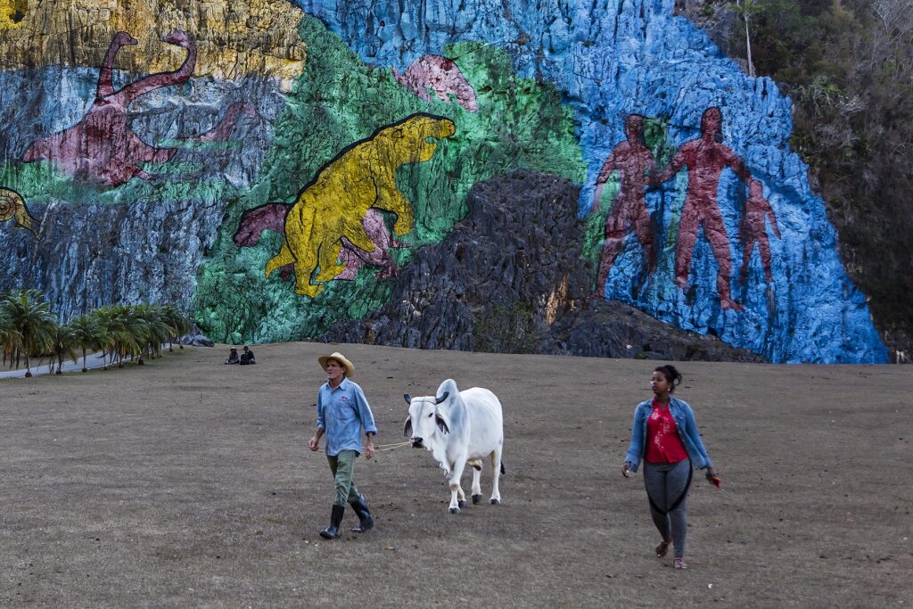 MURAL DE LA PREHISTORICA is a giant painting on a rock cliff painted by Leovigildo Gonzalez Morillo - VINALES, PINAR DEL RIO, CUBA