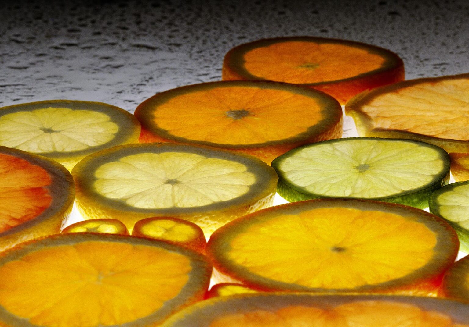 CITRUS SLICES backlit (lemon, orange, lime, grapefruit and kumquat)