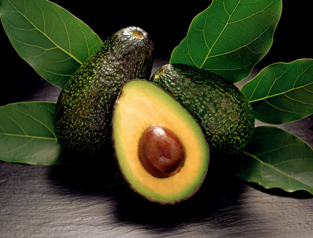 HAAS AVOCADOS photographed in the studio by Craig Lovell.