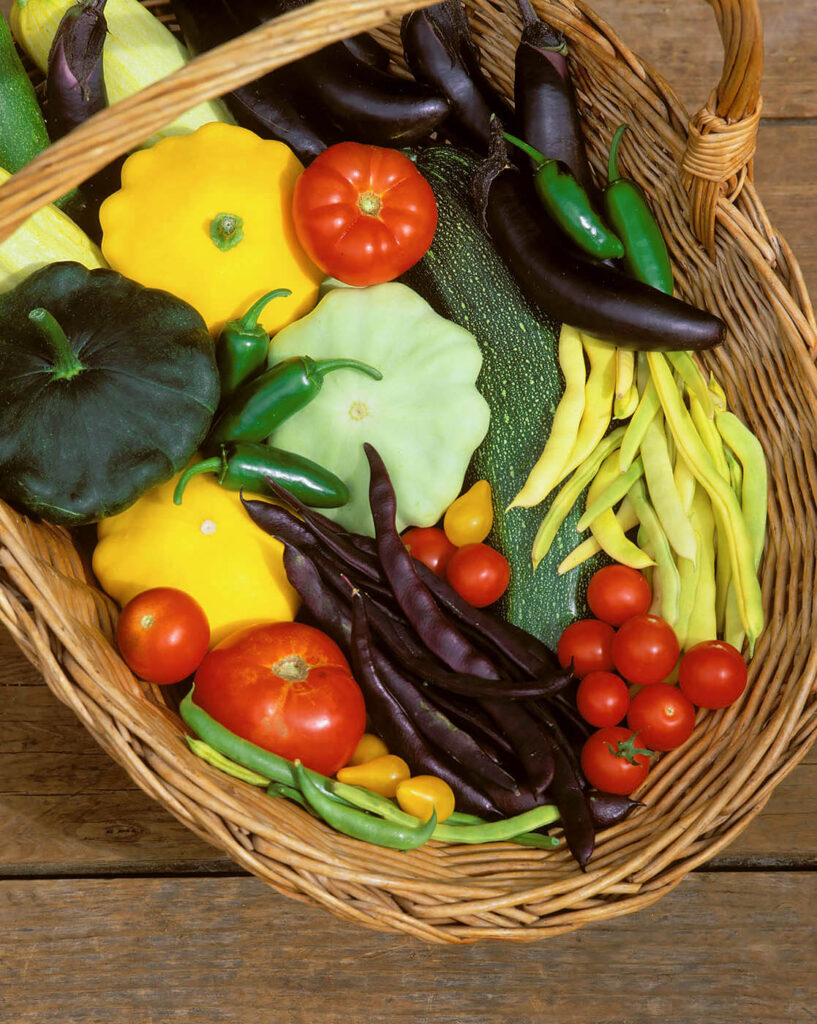 A summer harvest of tomatoes, zucchini, summer squash, Japanese eggplant, purple and yellow beans and chili peppers in a wicker basket.    Food photograph by Eagle Visions Photography.
