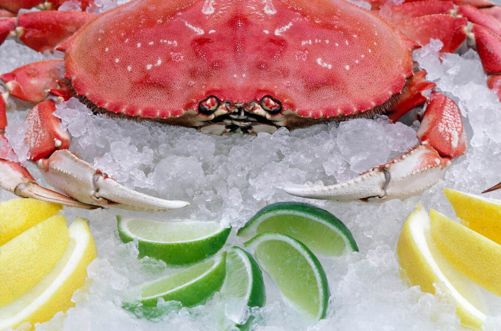A crab on ice with lemon and lime slices.  Craig Lovell's food photography