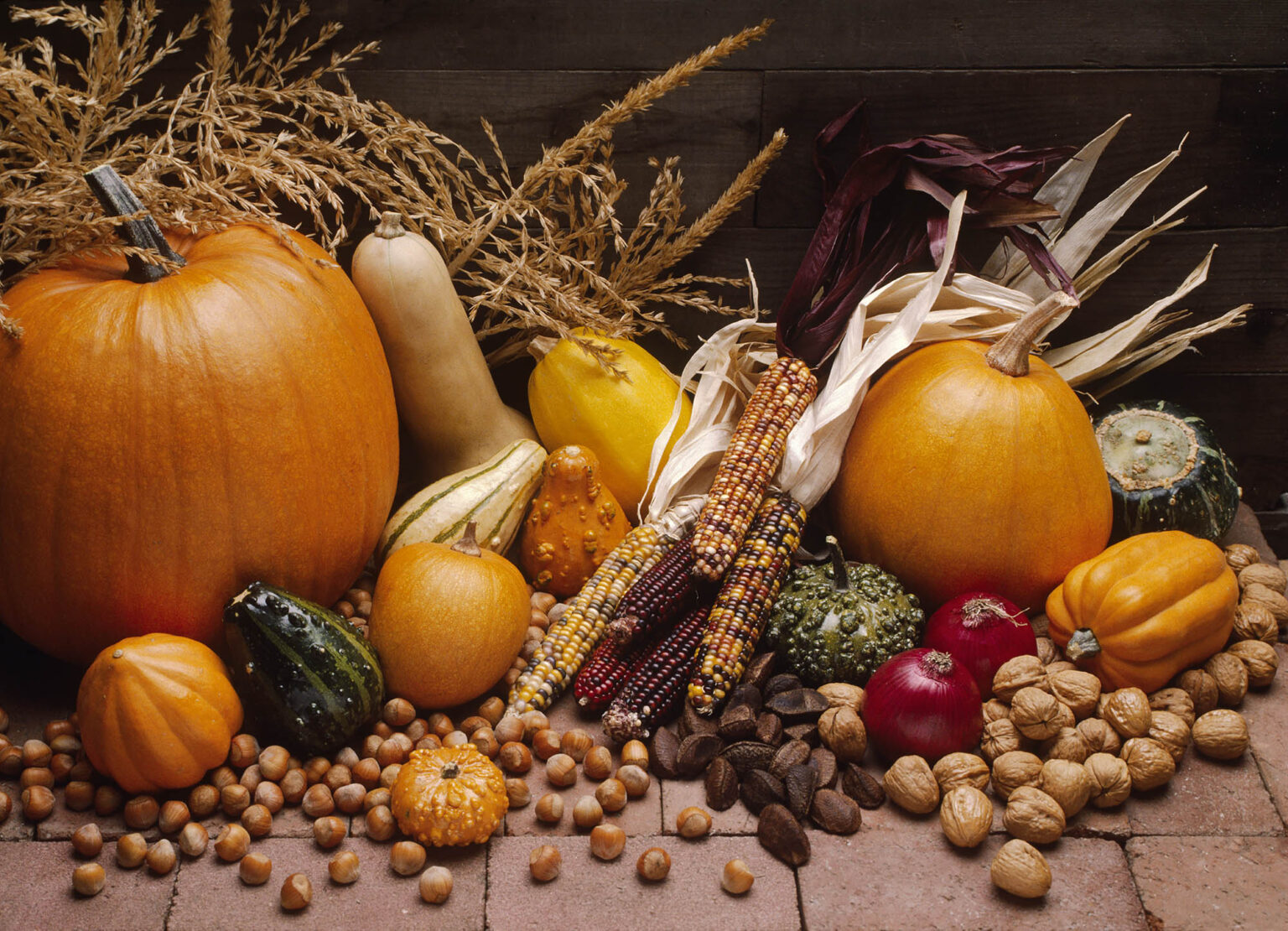 Fall harvest of PUMPKINS, GOURDS, ONIONS, SQUASH, INDIAN CORN & mixed NUTS