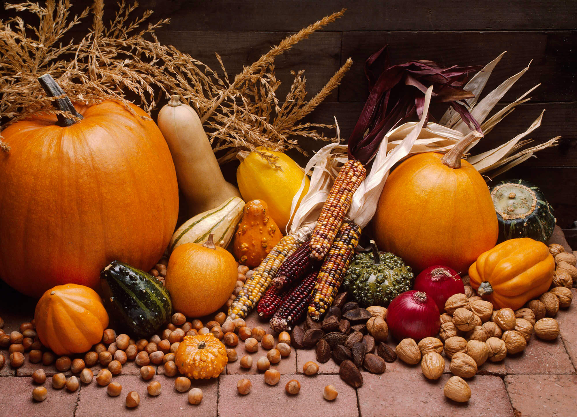 A display of autumn's harvest with gourds, pumpkins, Indian corn, red onions, walnuts and Brazil nuts. Food photography at the Eagle Visions studio.