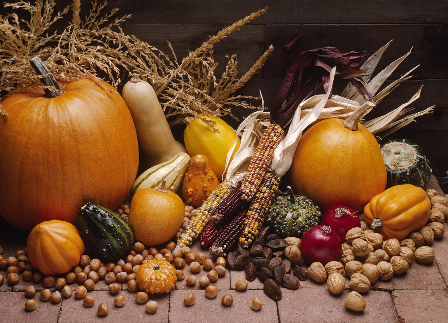 Fall harvest of PUMPKINS, GOURDS, ONIONS, SQUASH, INDIAN CORN and mixed NUTS