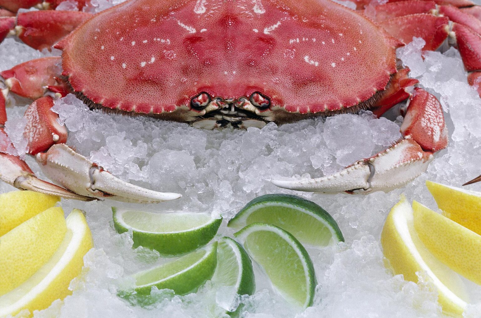 WHOLE CRAB with lemon and lime slices on ice