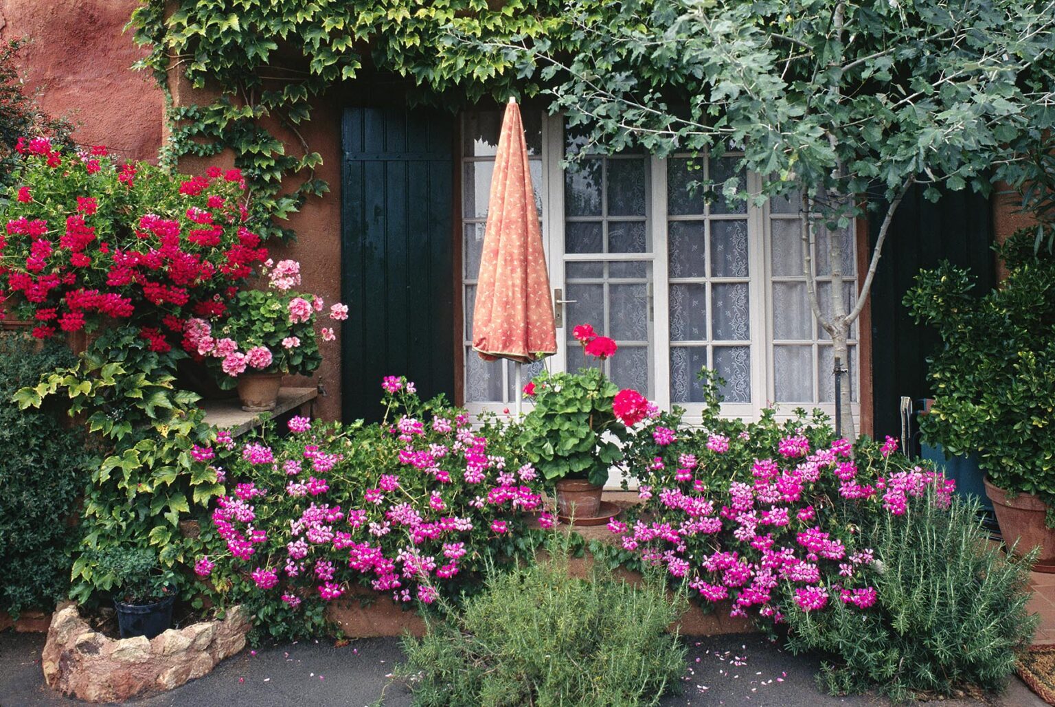 Flowers, umbrella and window of a quaint house in the Village of ROUSSILLON - PROVENCE, FRANCE