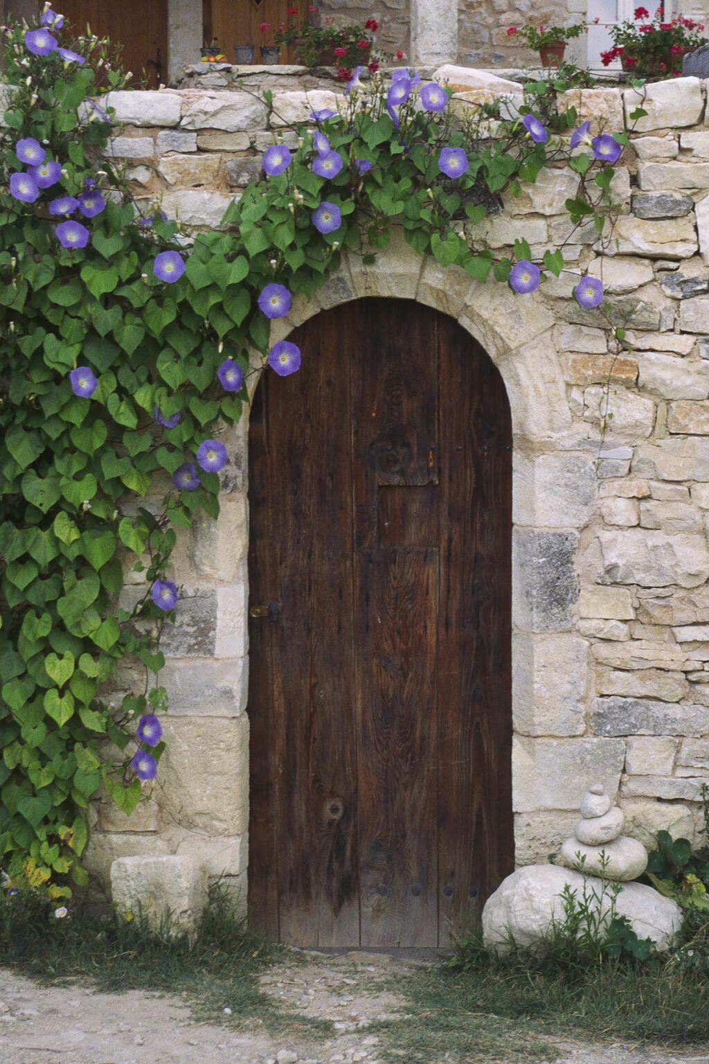 Purple morning glory flowers frame a door of a quaint house in the Village of ROUSSILLON - PROVENCE, FRANCE