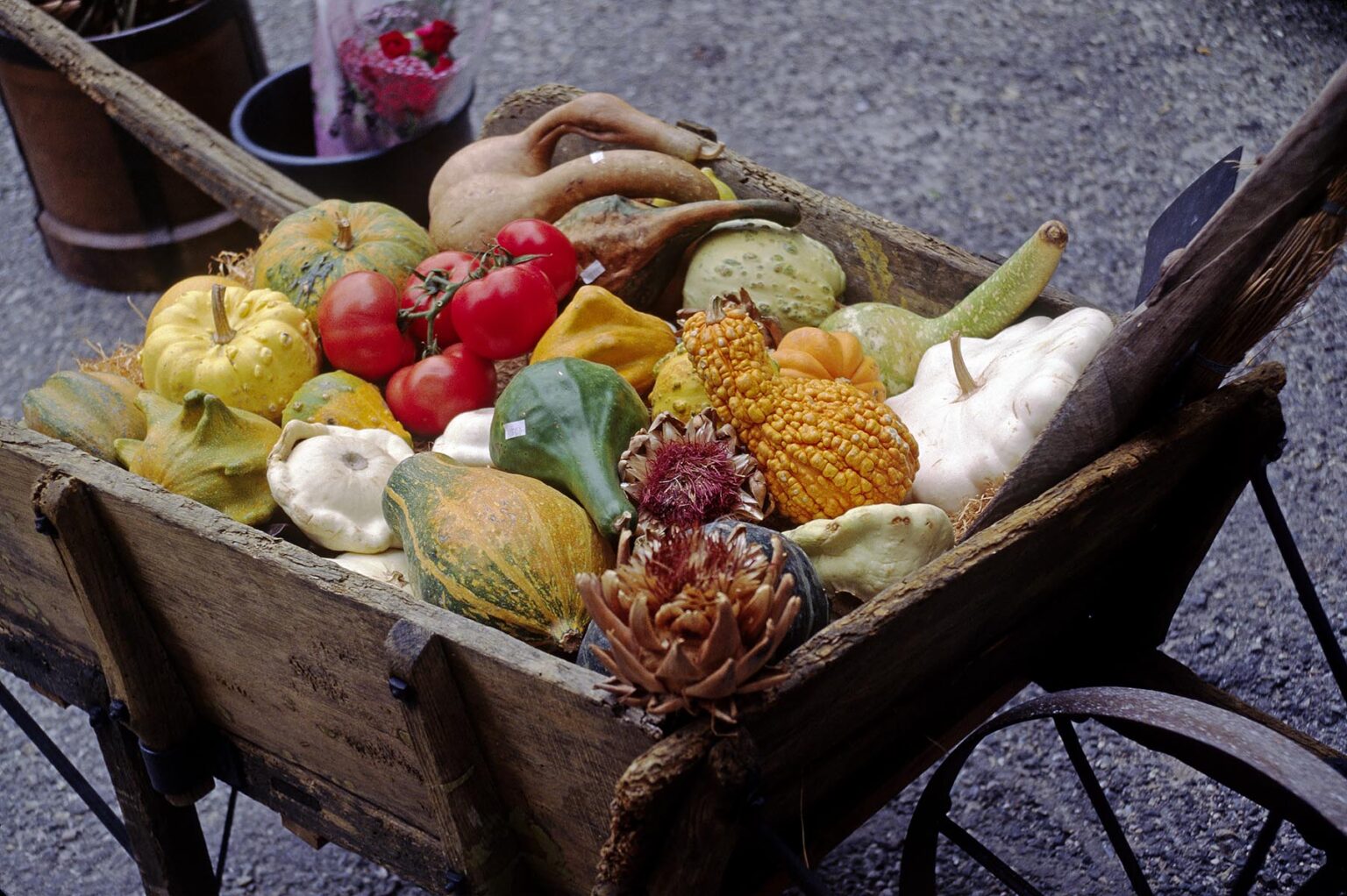 Wheelbarrow of gourds & vegetables on display in the golden-stone village of GORDES  - PROVENCE, FRANCE