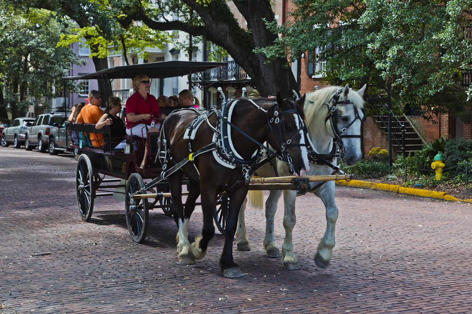 Tourists take a horse and buggy ride through the southern style mansions in the historical section of SAVANNA GEORGIA