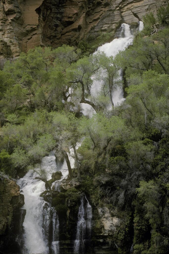 TREAT FALLS gushes out of side of canyon wall forming TAPEATS CREEK - GRAND CANYON NATIONAL PARK, ARIZONA