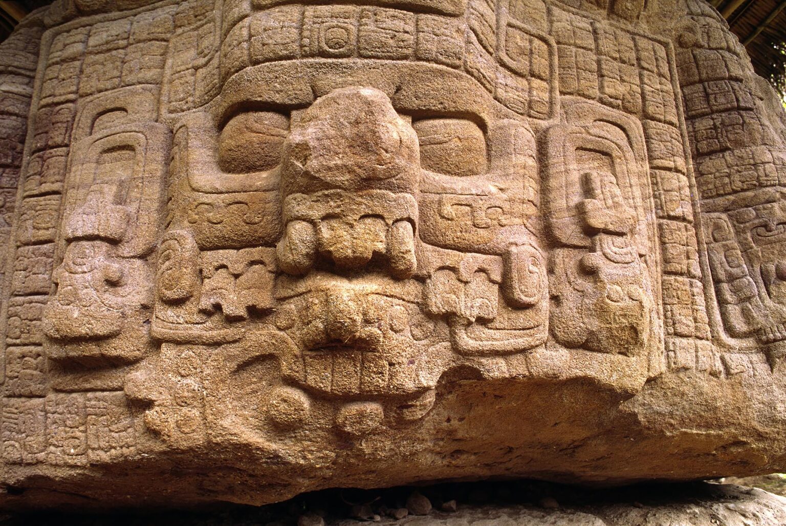 MAYAN ZOOMORPH, dated to 795 AD, with beautifully carved GLYPHS and face of god or ruler - QUIRIGUA RUINS, GAUTEMALA