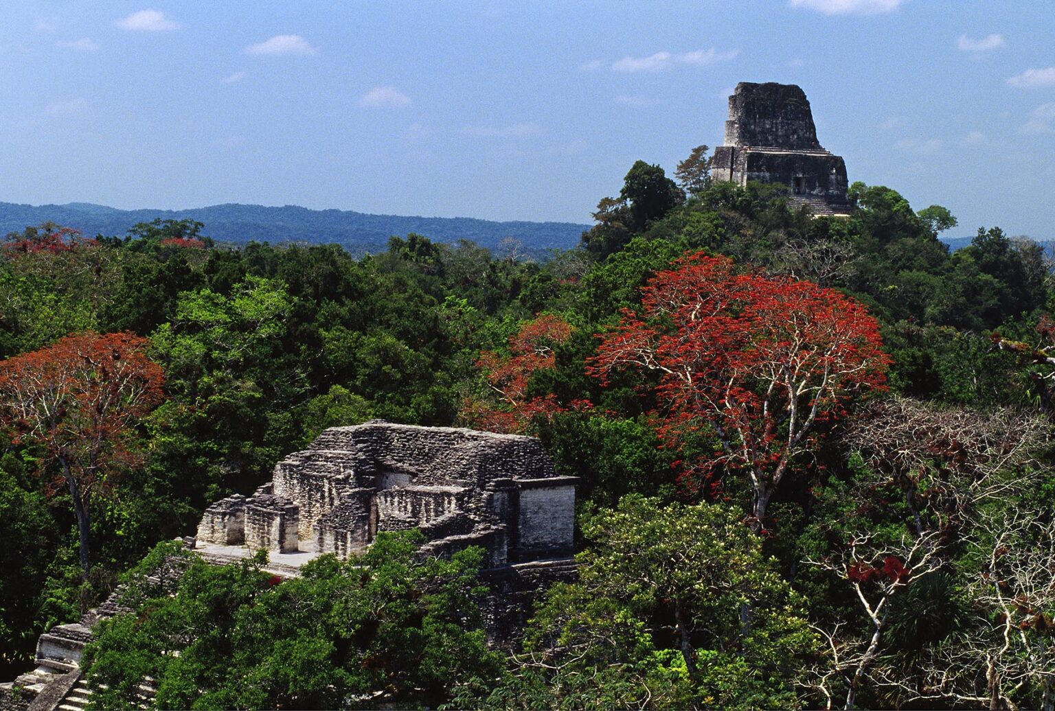 A view of MAYA TEMPLE IV, rising 212 ft. tall, from the summit of the LOST WORLD TEMPLE - TIKAL, GUATEMALA