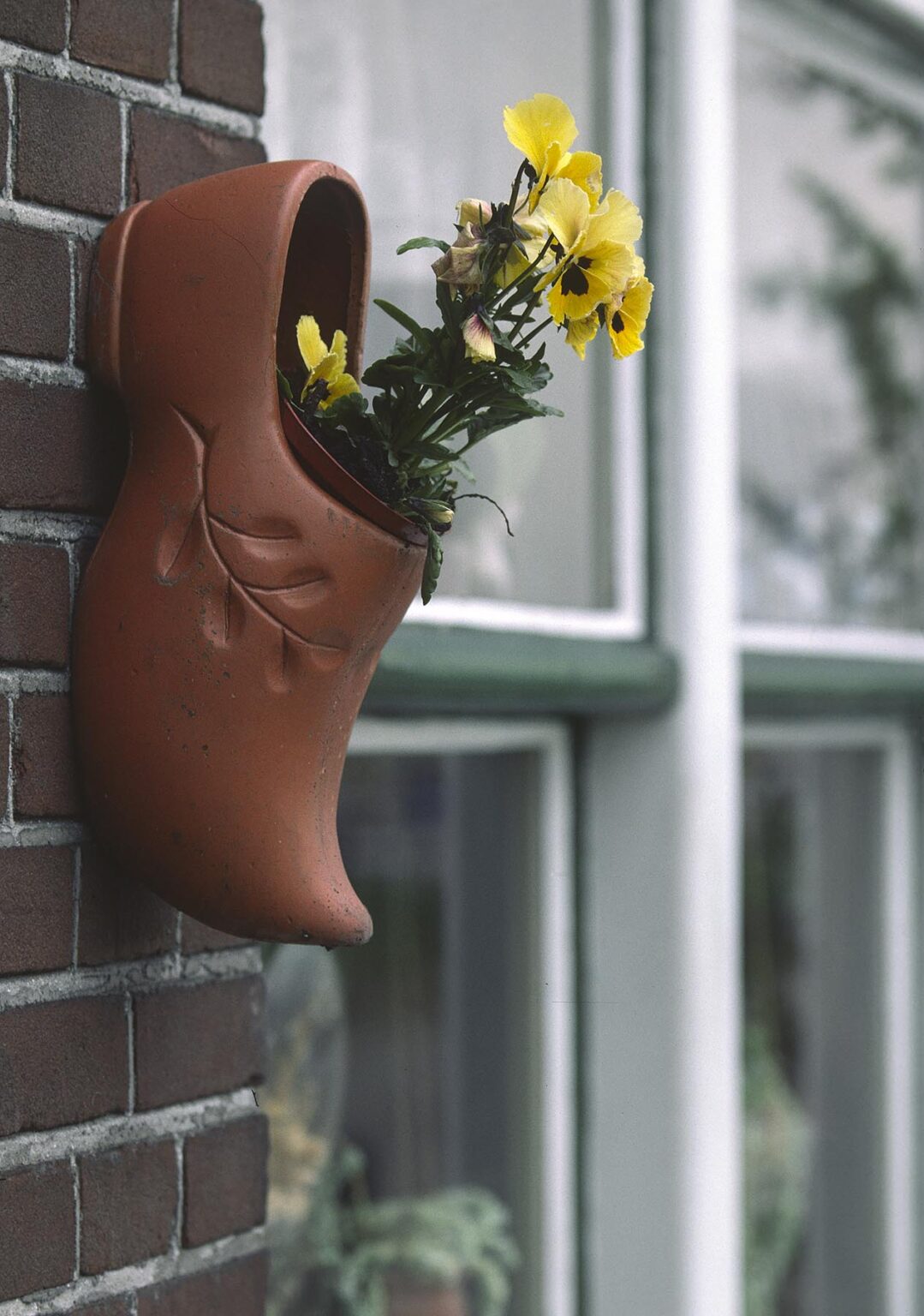 A CLAY DUTCH SHOE is used as a hanging flower pot - THE NETHERLANDS