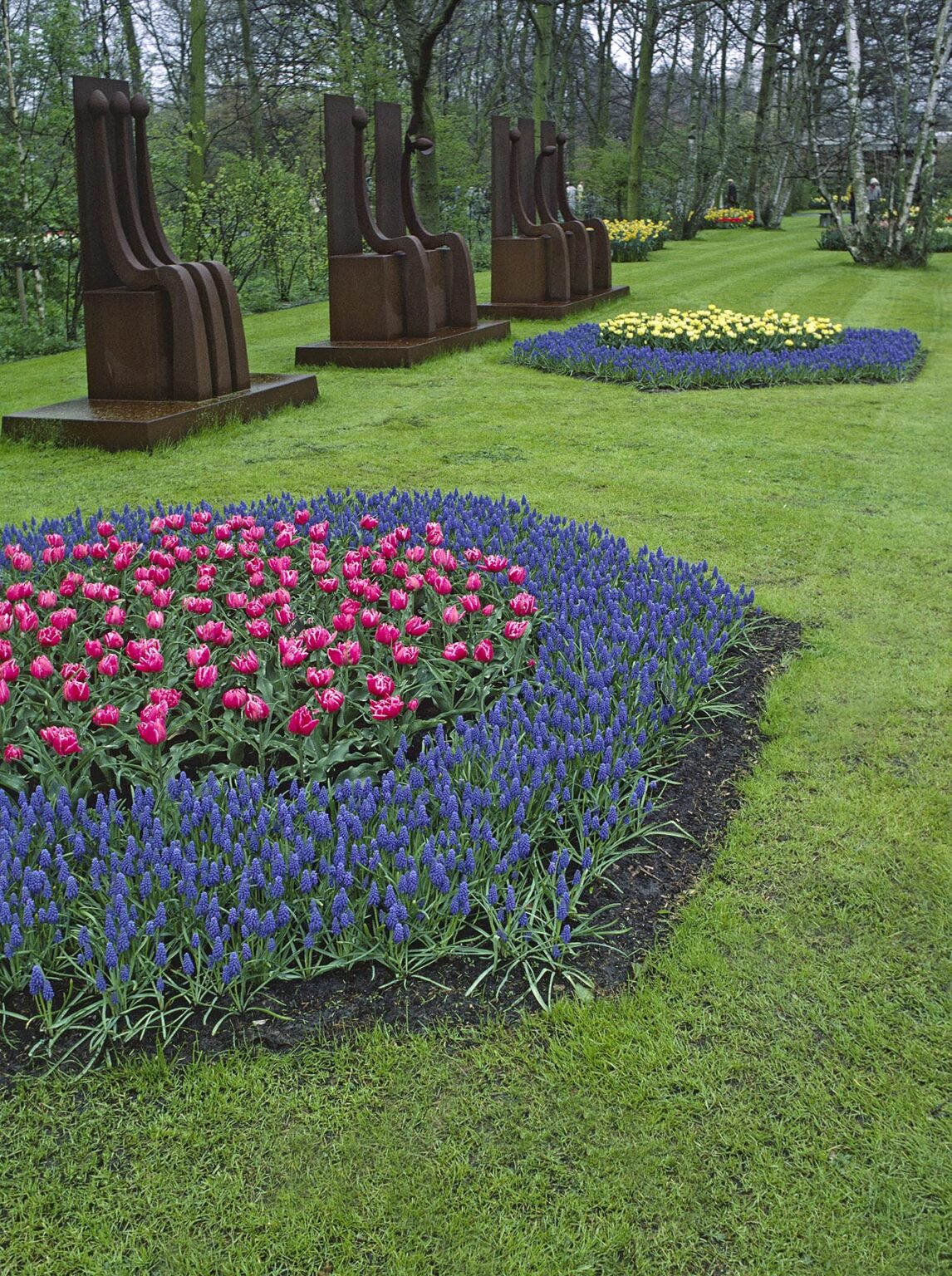 The KUKENHOFF GARDENS grow every kind of TULIP imaginable & other bulbs, plants and trees as well - THE NETHERLANDS