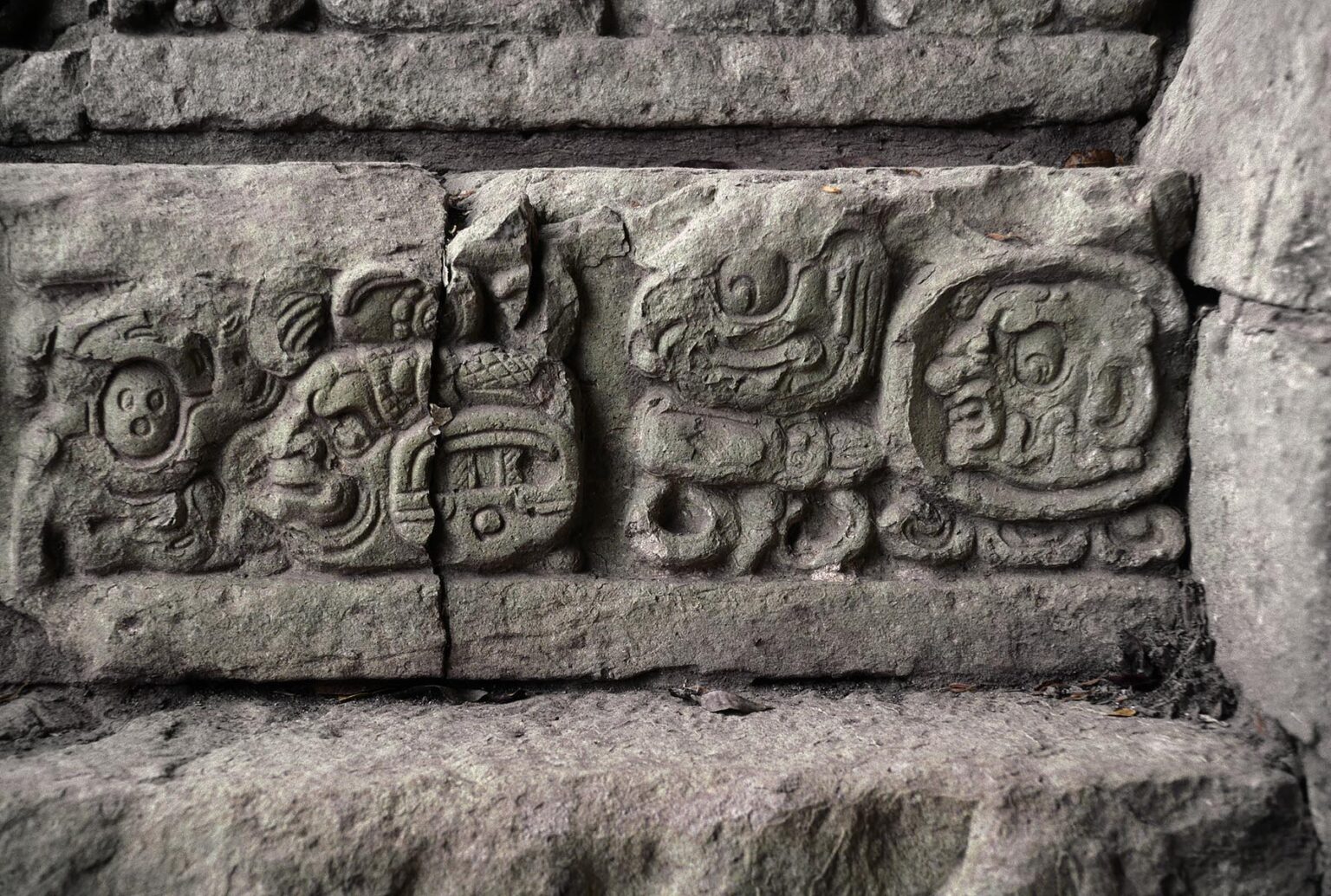GLYPHS telling MAYAN cultural history on HIEROGLYPHIC STAIRWAY of structure 26 (AD 755) - COPAN RUINS, HONDURAS