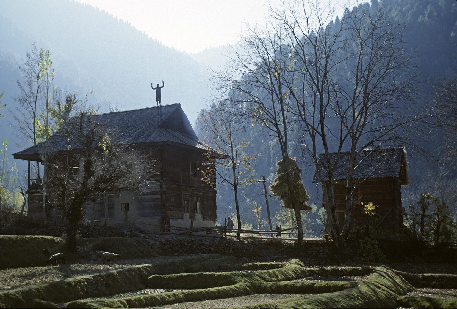FALLOW FIELD and wooden FARM HOUSE near AFAN VILLAGE in the HIMALAYAN FOOTHILLS - KASHMIR, INDIA