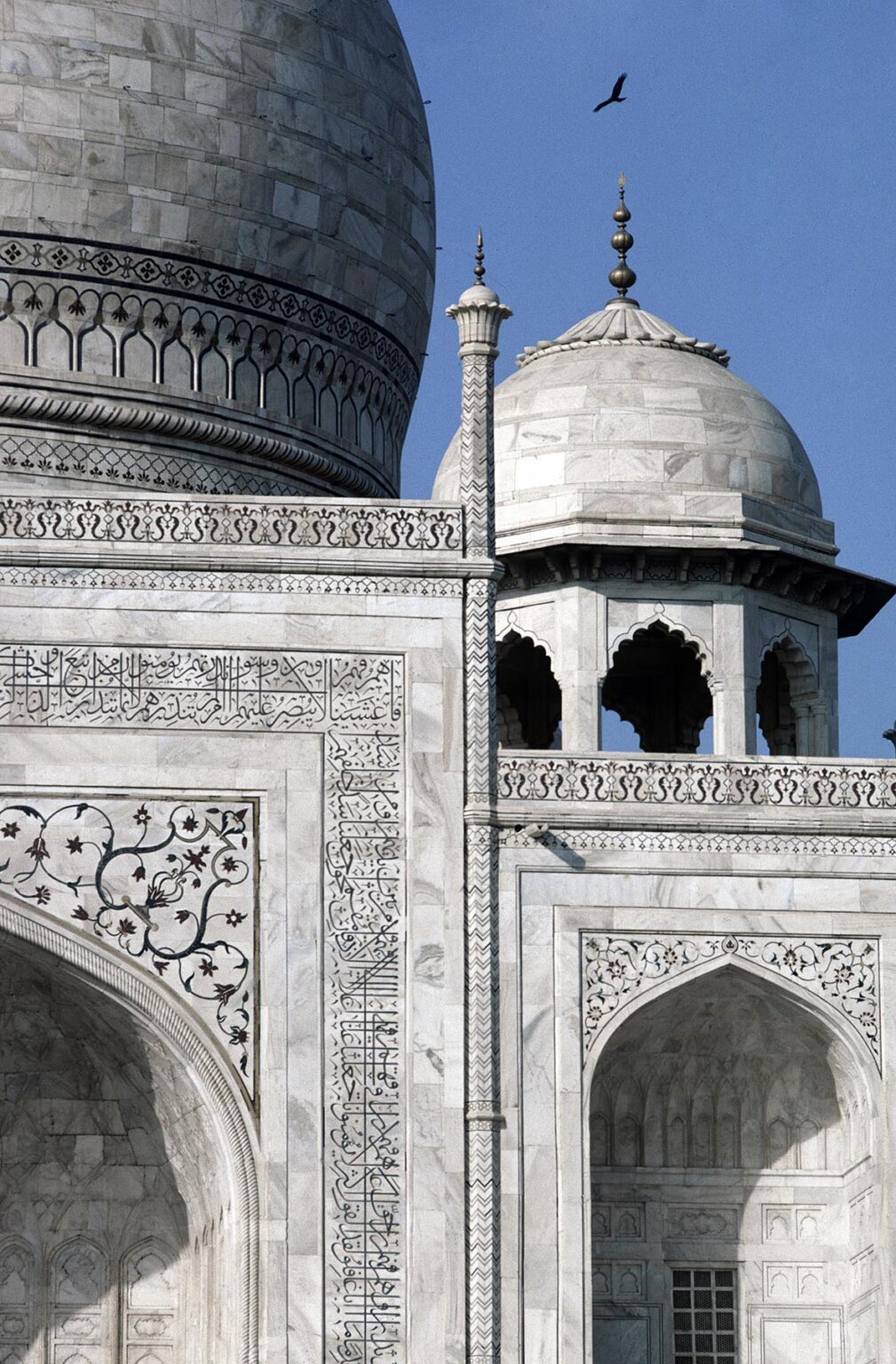Detail of smaller domes of the TAJ MAHAL, built by emperor Shahjahan for his wife in 1653 - AGRA, INDIA