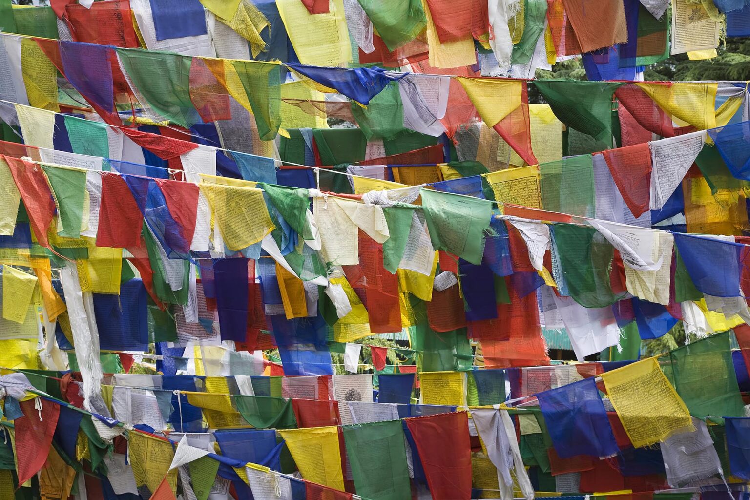 TIBETAN PRAYER FLAGS fly on the grounds of the TSUGLAGKHANG COMPLEX which is the DALAI LAMA'S residence in exile in MCLEOD GANG - DHARMSALA, INDIA