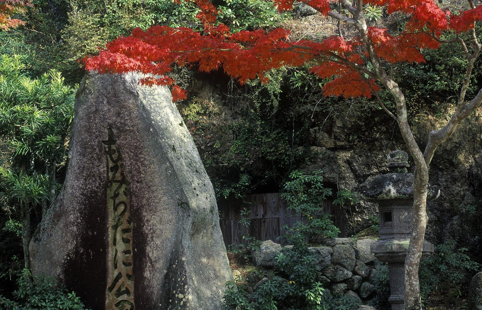 Large MEMORIAL STONE with JAPANESE RED MAPLE - MIYA JIMA ISLAND, JAPAN