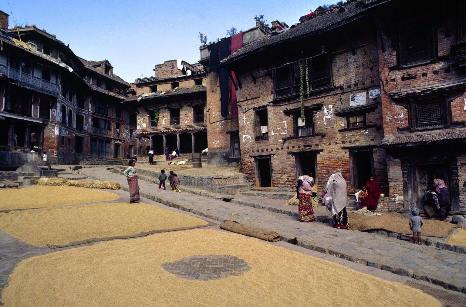 RICE, the mainstay of the Nepali diet, is dried in an open courtyard - BHAKTAPUR, NEPAL